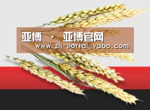 亚博 · 亚博官网
