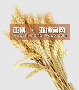 亚博 · 亚博官网