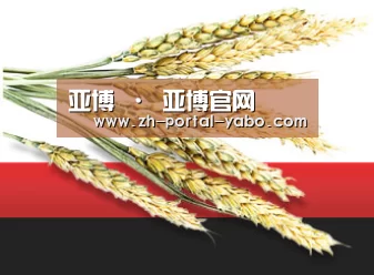 亚博 · 亚博官网