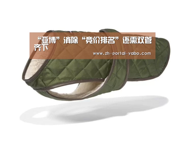 “亚博”消除“竞价排名”还需双管齐下(图1) 亚博体育官网