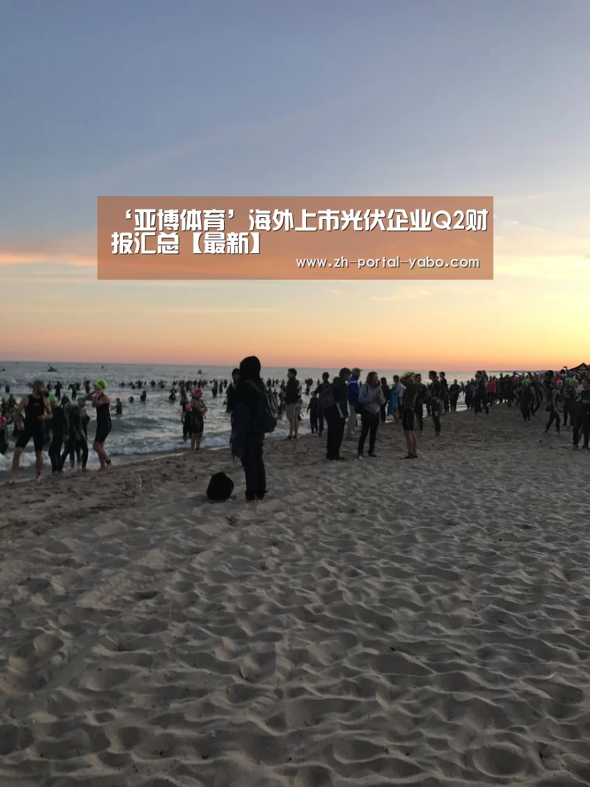 ‘亚博体育’海外上市光伏企业Q2财报汇总【最新】(图3) 亚博体育官网