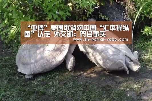 “亚博”美国取消对中国“汇率操纵国”认定 外交部:符合事实(图1) 亚博体育官网