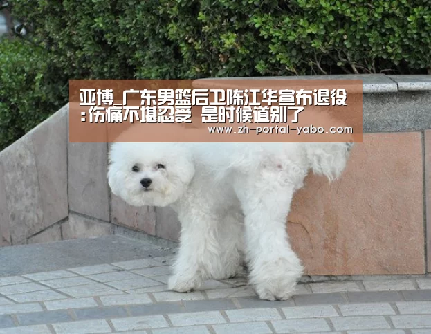亚博_广东男篮后卫陈江华宣布退役:伤痛不堪忍受 是时候道别了(图3) 亚博官网