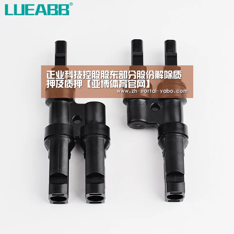 正业科技控股股东部分股份解除质押及质押【亚博体育官网】(图1) 亚博体育
