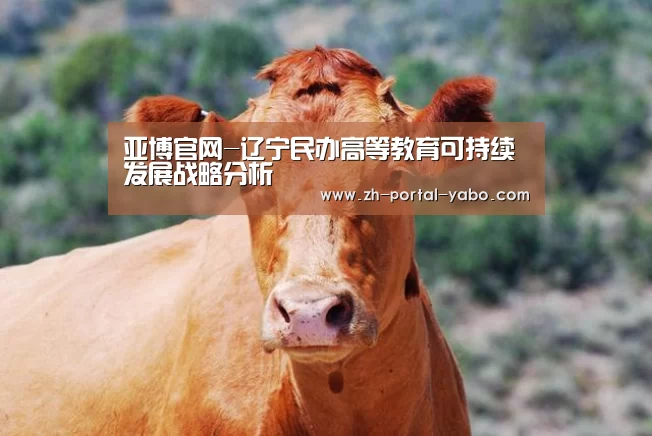 亚博官网-辽宁民办高等教育可持续发展战略分析