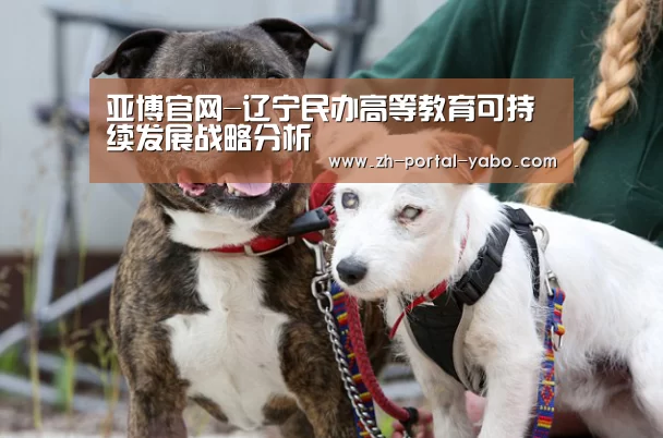 亚博官网-辽宁民办高等教育可持续发展战略分析(图4) 亚博官网