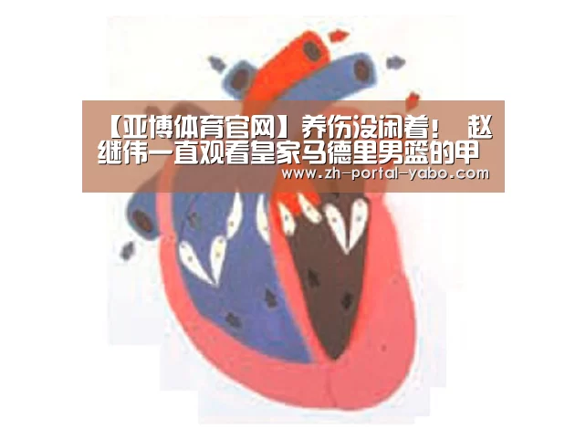 【亚博体育官网】养伤没闲着! 赵继伟一直观看皇家马德里男篮的甲级联赛(图2) 亚博官网